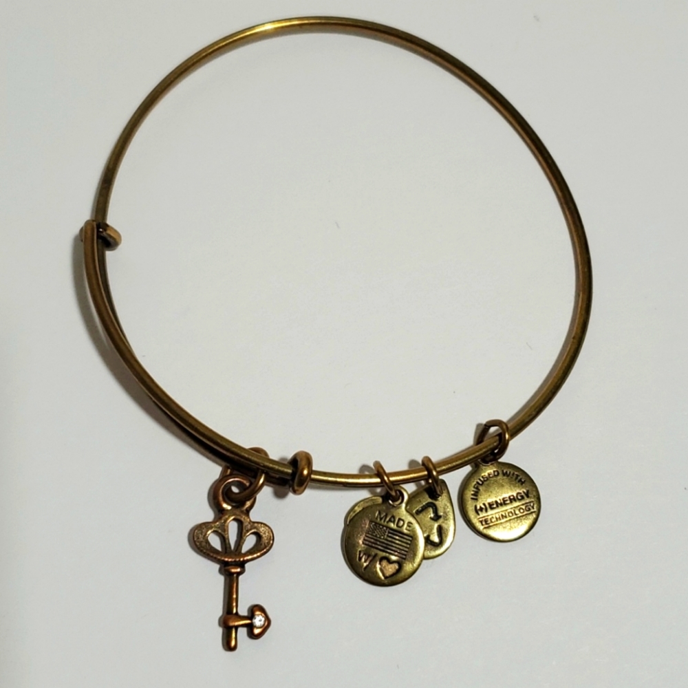 Alex and Ani Bracelet Key Energy Bracelet